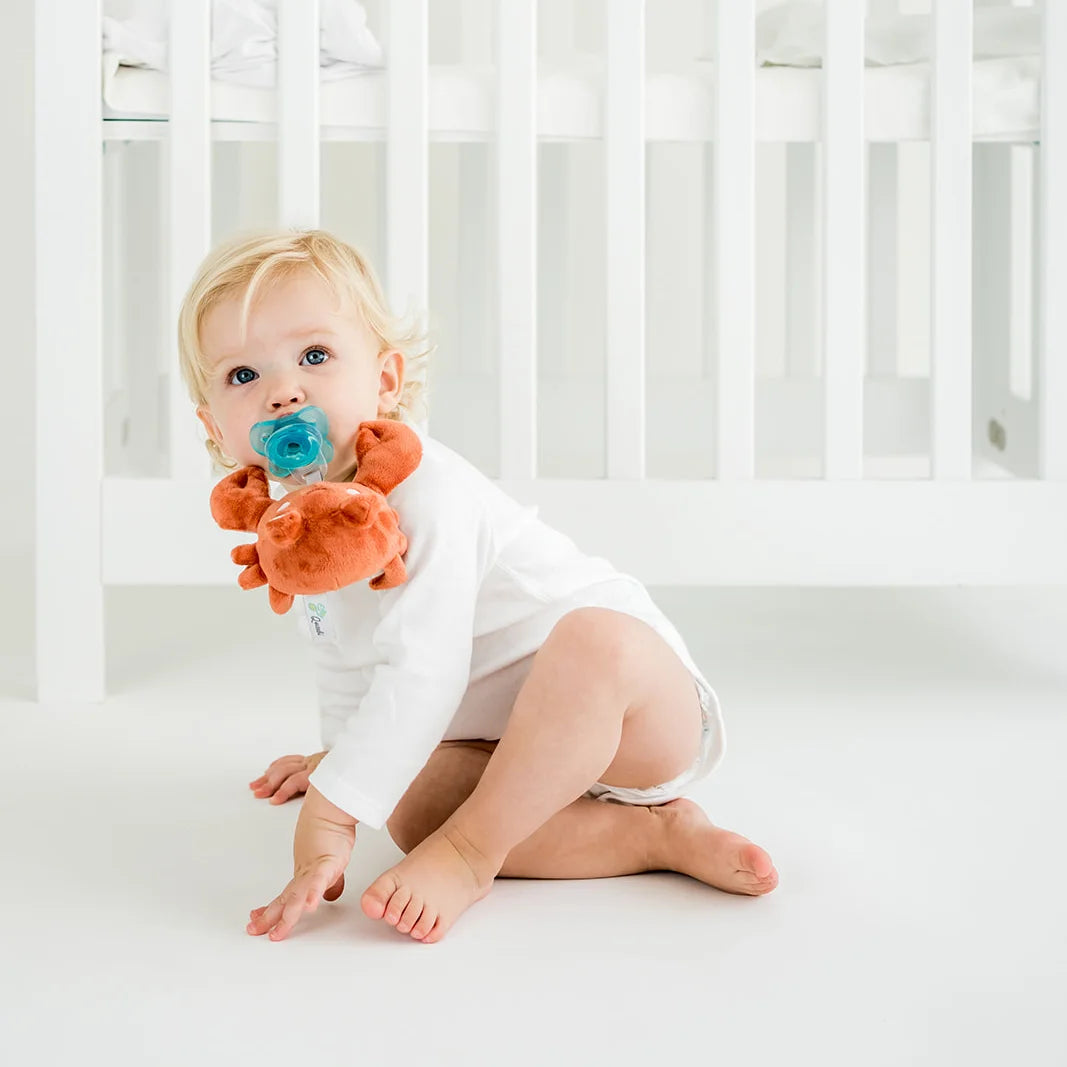 Pacibuddy Crab Pacifier Holder - Plush Toy Includes Detachable Pacifier - Adapts to Name Brand Pacifiers - Baby Gift Suitable for All Ages - Infant Binky, Soother, Paci, Plush Baby Toy