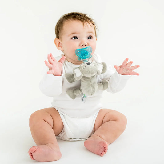 Pacibuddy Koala Pacifier Holder - Plush Toy Includes Detachable Pacifier - Adapts to Name Brand Pacifiers - Baby Gift Suitable for All Ages - Infant Binky, Soother, Paci, Plush Baby Toy