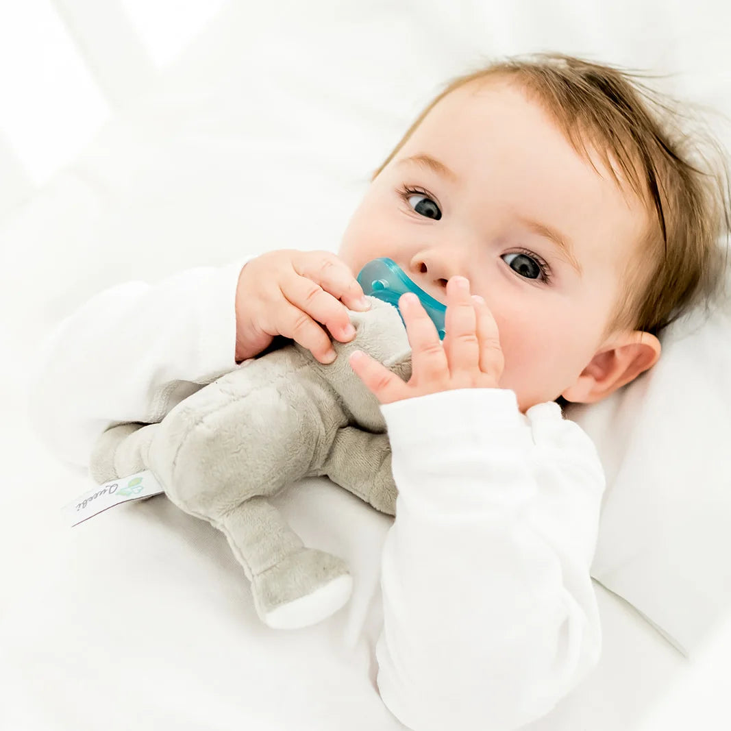 Pacibuddy Koala Pacifier Holder - Plush Toy Includes Detachable Pacifier - Adapts to Name Brand Pacifiers - Baby Gift Suitable for All Ages - Infant Binky, Soother, Paci, Plush Baby Toy