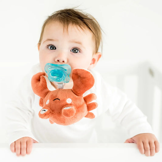 Pacibuddy Crab Pacifier Holder - Plush Toy Includes Detachable Pacifier - Adapts to Name Brand Pacifiers - Baby Gift Suitable for All Ages - Infant Binky, Soother, Paci, Plush Baby Toy